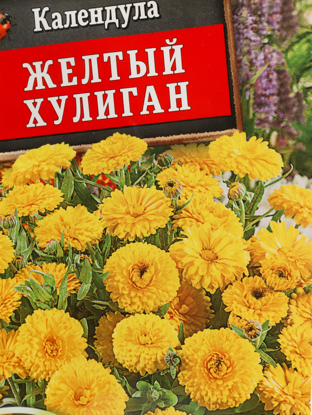 Семена Календула "Желтый хулиган" набор 1, 3, 5 уп