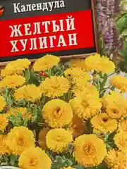 Семена Календула "Желтый хулиган" набор 1, 3, 5 уп