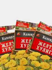 Семена Календула "Желтый хулиган" набор 1, 3, 5 уп