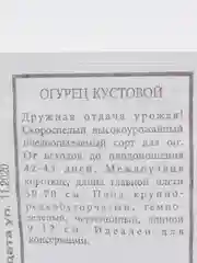 Семена Огурец "Кустовой" набор 1, 5, 10 уп