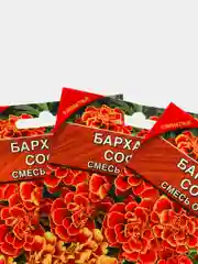 Семена Бархатцы "София" смесь окрасок набор 1, 3, 5 уп
