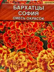 Семена Бархатцы "София" смесь окрасок набор 1, 3, 5 уп
