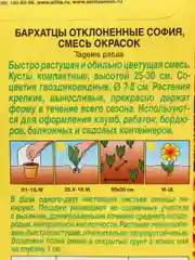 Семена Бархатцы "София" смесь окрасок набор 1, 3, 5 уп