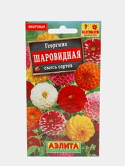 Семена георгина  Шаровидная  смесь сортов набор 1, 3, 5 уп