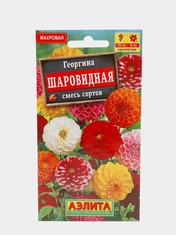Семена георгина  Шаровидная  смесь сортов набор 1, 3, 5 уп