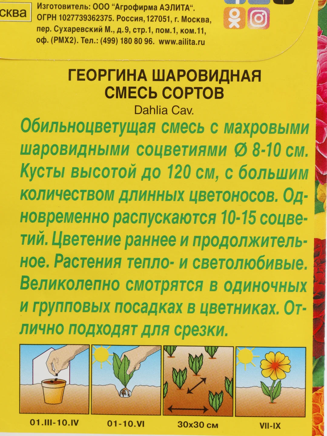 Семена георгина  Шаровидная  смесь сортов набор 1, 3, 5 уп