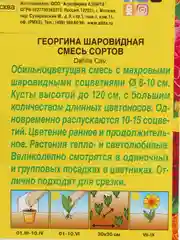 Семена георгина  Шаровидная  смесь сортов набор 1, 3, 5 уп