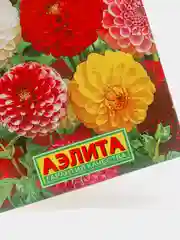Семена георгина  Шаровидная  смесь сортов набор 1, 3, 5 уп