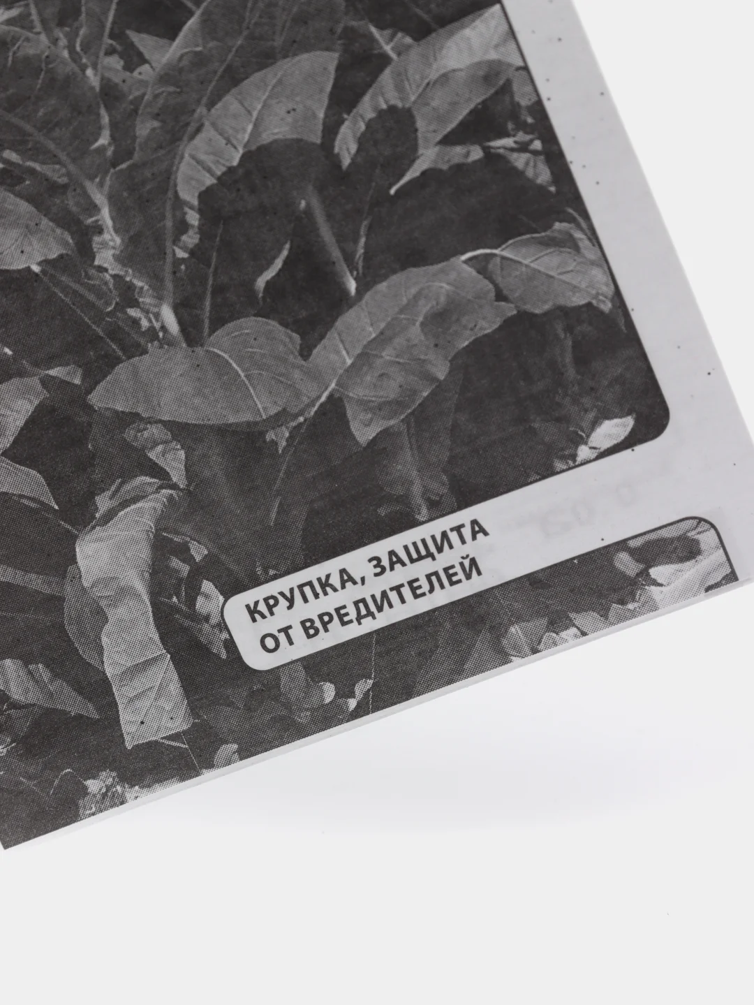 Семена Махорка "Деревенский табак" набор 1, 5, 10 уп