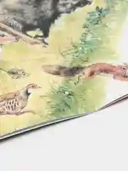 Желтый книга детская Приключения зверей, 12 видов