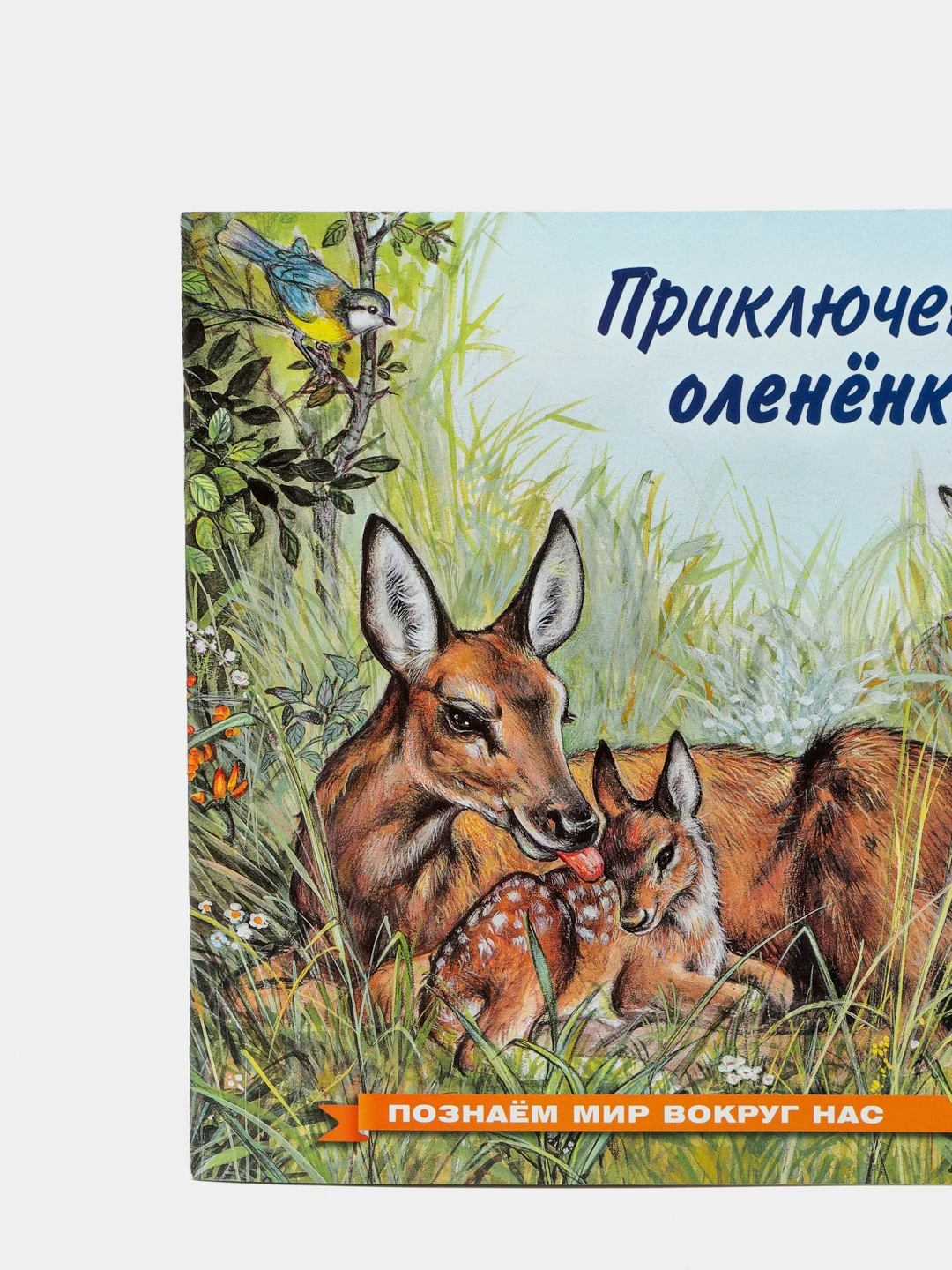 Желтый книга детская Приключения зверей, 12 видов