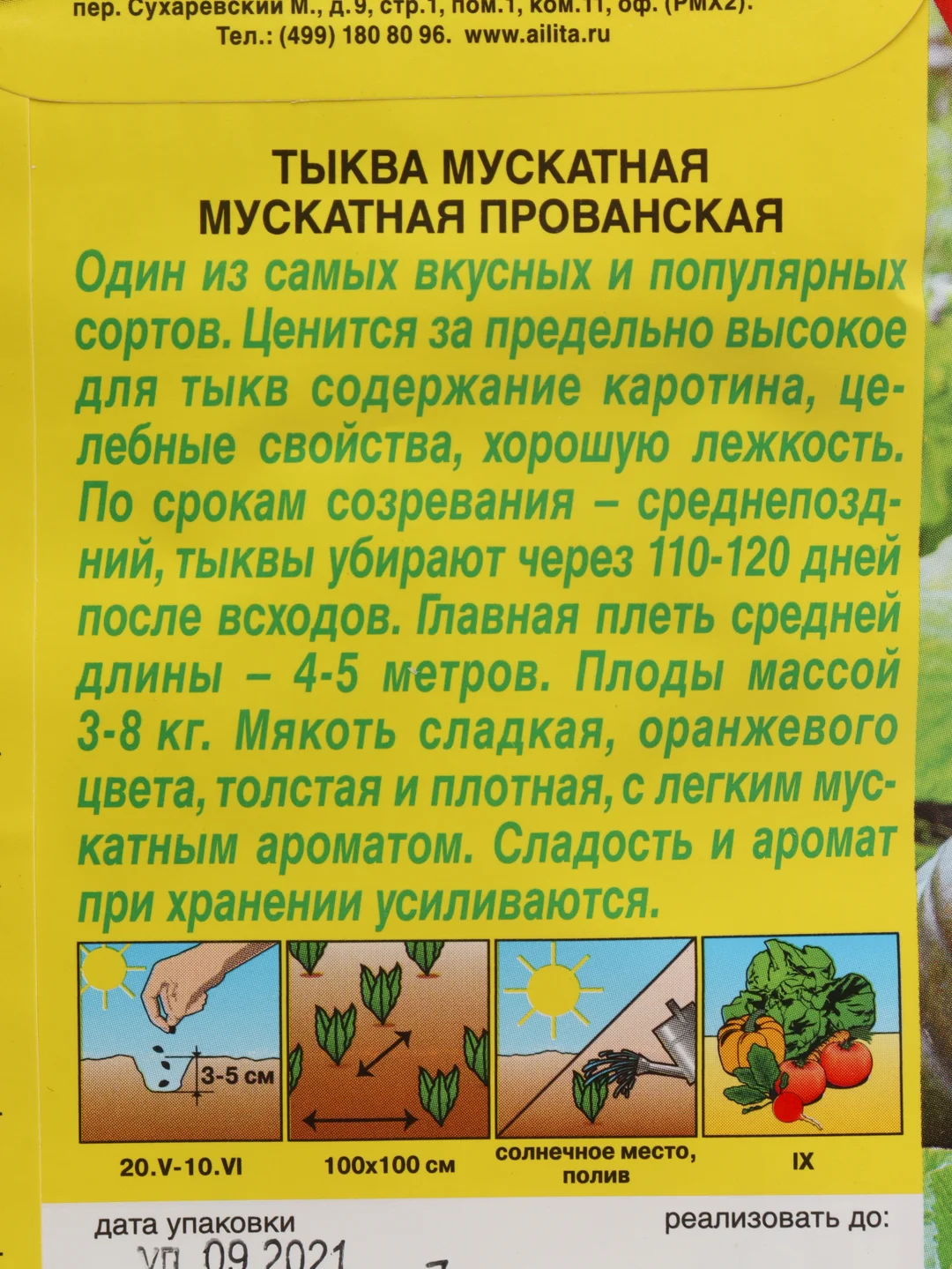 Семена Тыква "Мускатная Прованская" набор 1, 3, 5 уп