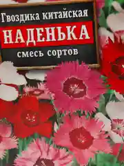 Семена Гвоздика китайская смесь сортов "Наденька" набор 1, 3, 5 уп