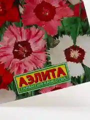 Семена Гвоздика китайская смесь сортов "Наденька" набор 1, 3, 5 уп