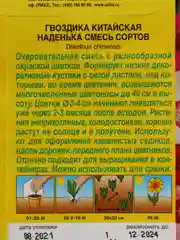 Семена Гвоздика китайская смесь сортов "Наденька" набор 1, 3, 5 уп