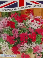 Семена Пеларгония плющелистная "Саммертайм" смесь сортов набор 1, 2, 3, 5 уп