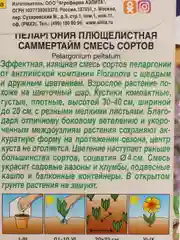 Семена Пеларгония плющелистная "Саммертайм" смесь сортов набор 1, 2, 3, 5 уп