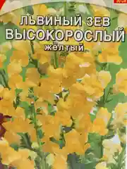 Семена Львиный зев "Высокорослый желтый" набор 1, 3, 5 уп