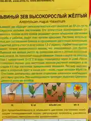 Семена Львиный зев "Высокорослый желтый" набор 1, 3, 5 уп