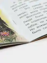Оранжевый книга детская Приключения зверей, 12 видов
