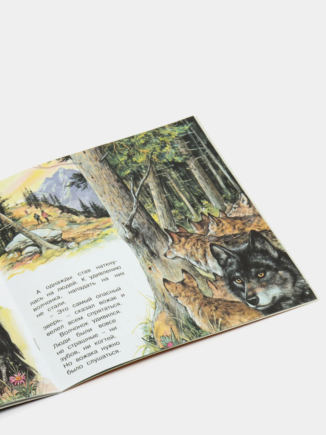 Оранжевый книга детская Приключения зверей, 12 видов