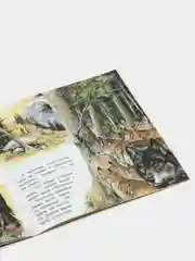 Оранжевый книга детская Приключения зверей, 12 видов
