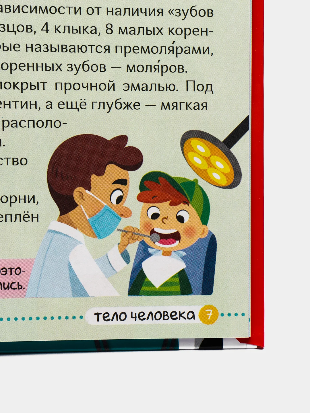 Детская энциклопедия "Тело Человека", 48 страниц