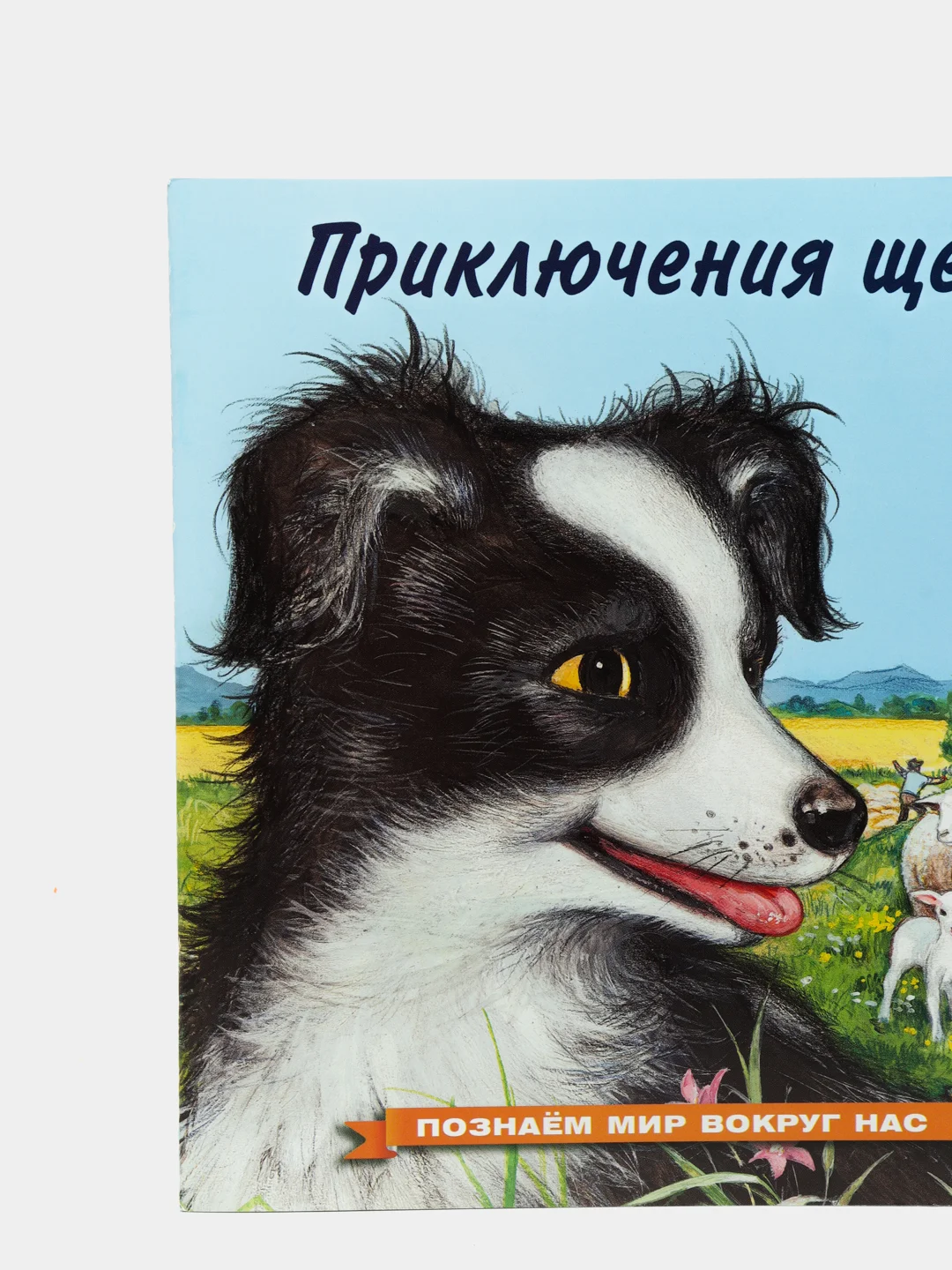 Черный книга детская Приключения зверей, 12 видов