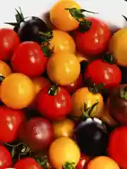 Томат Кишмиш ассорти, семена