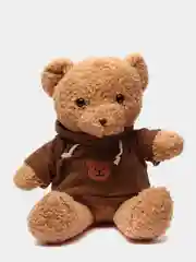 Коричневый плюшевый мишка в толстовке