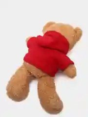 Красный плюшевый мишка в толстовке