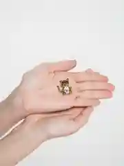 Золотой брошь на булавке