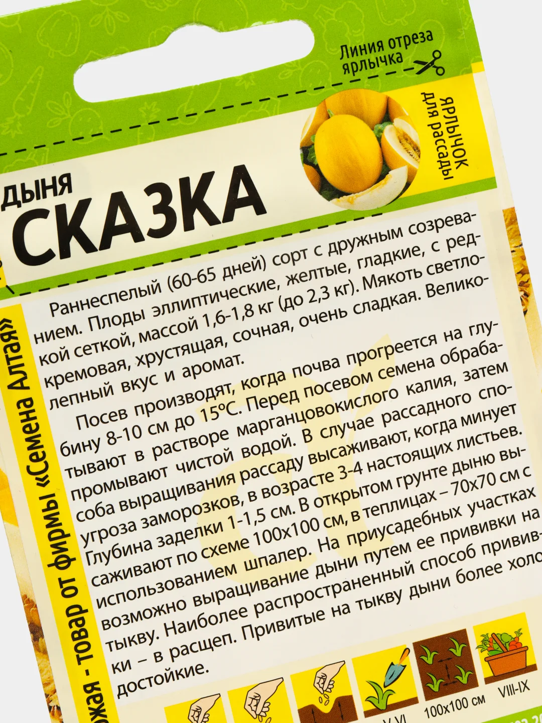 Дыня Сказка, семена