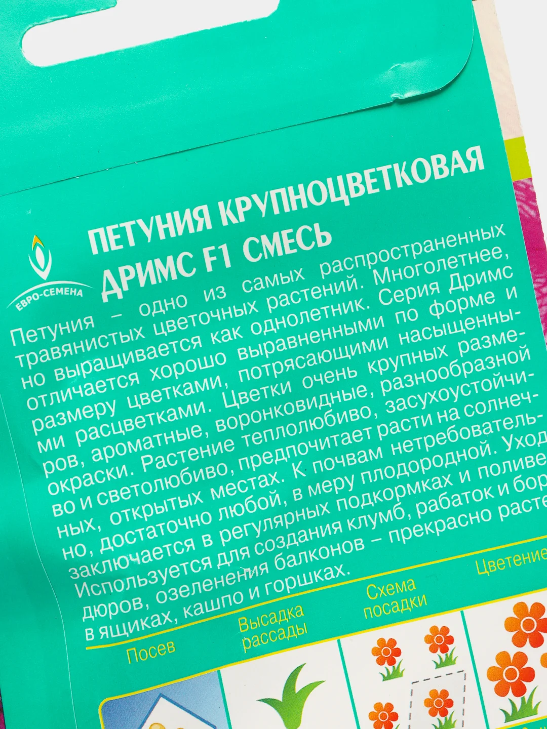 Петуния ДРИМС F1 смесь 10шт / Семена цветов