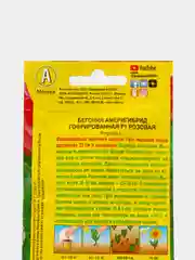 Семена цветов Бегония "Америгибрид гофрированная F1", розовая