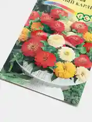 Семена цветов Цинния "Милый карлик"