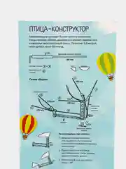 Бронзовый летающая игрушка. Сделай сам. Конструктор. Воздушный змей
