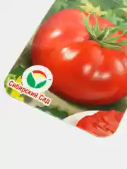Томат "Клуша", семена