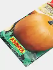 Тыква "Карета для золушки" (семена)