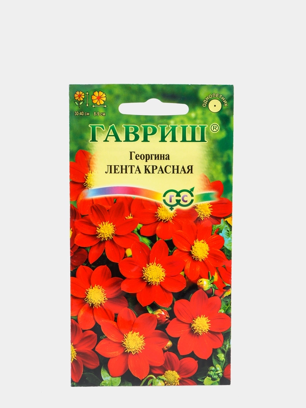 Георгина Лента красная (семена,цветы)