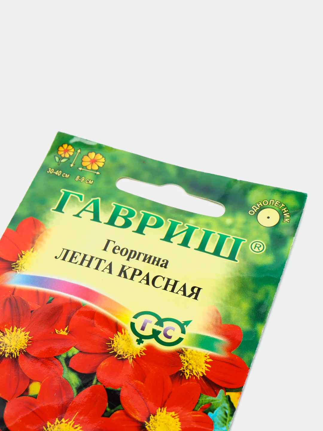 Георгина Лента красная (семена,цветы)