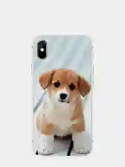 Оранжевый чехол для Apple iPhone 6/6s / 6 Plus/6s Plus / 7/8 / 7 Plus/8 Plus / 11 / 11 PRO / 11 PRO MAX / XS Max / XR / X/XS силиконовый Животные, 3 вида