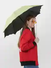 Лайм зонт женский складной, классический