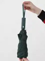 Зеленый зонт автоматический, женский, складной