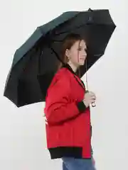 Зеленый зонт автоматический, женский, складной