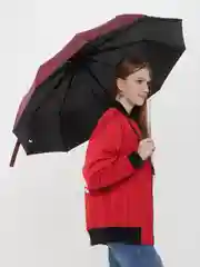 Багровый зонт автоматический, женский, складной