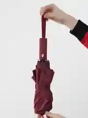 Багровый зонт автоматический, женский, складной
