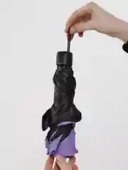 Лавандовый зонт женский складной, классический