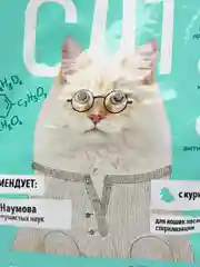 Полнорационный сбалансированный корм для стерилизованных кошек с курицей Smart Cat, 400 гр