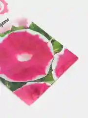 Ипомея Розовое наслаждение (семена,цветы)